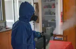 Désinfection KONuisibles